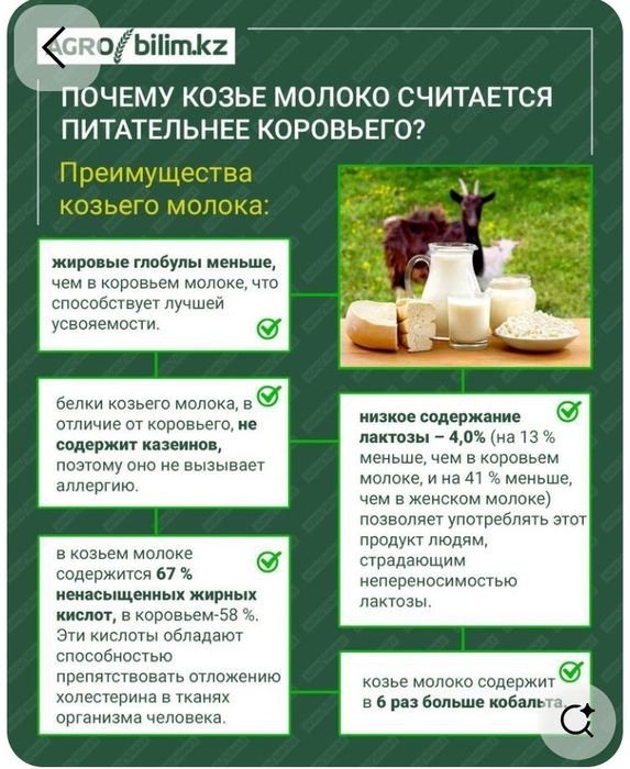 Ешкі сүті, ешкы сут, козье молоко