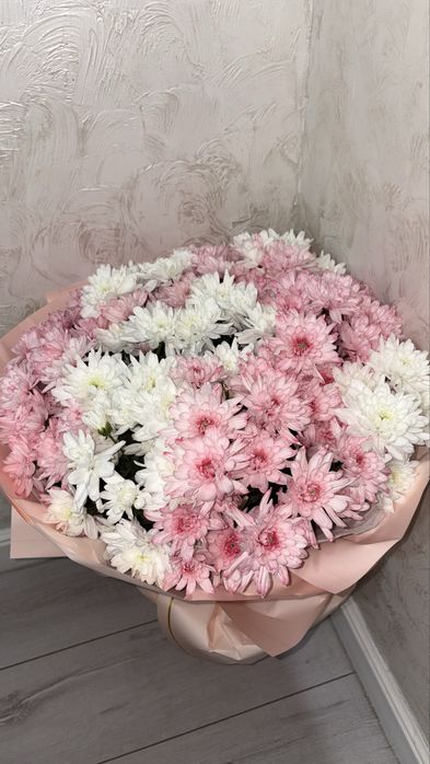 Свежие хризантемы