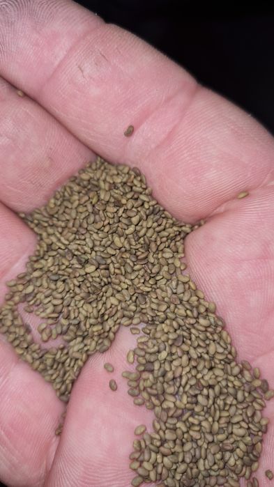 Доставка есть по городу