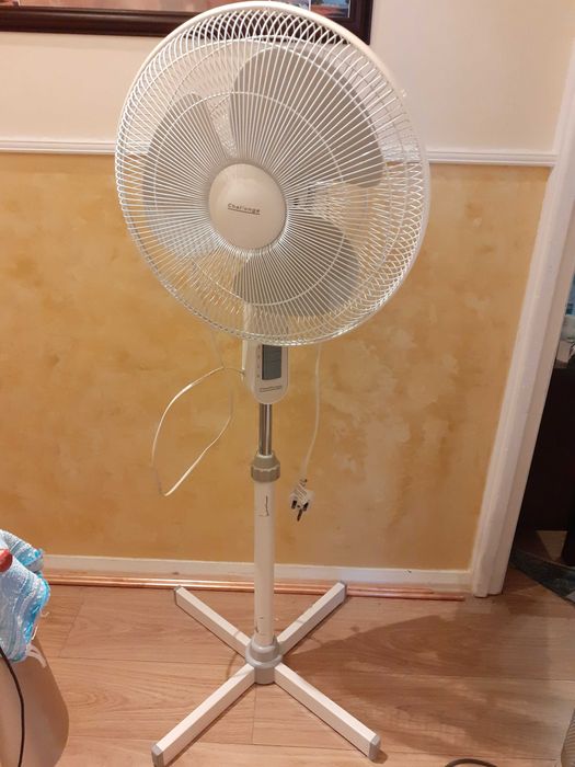 Голям вентилатор