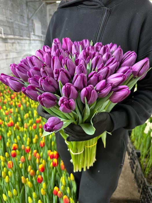 Розы тюльпаны .,