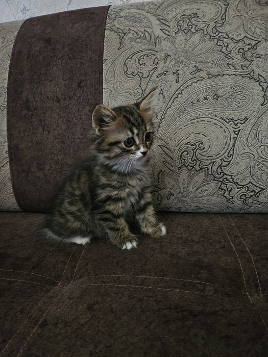 Девочка ищет себе маму и папу