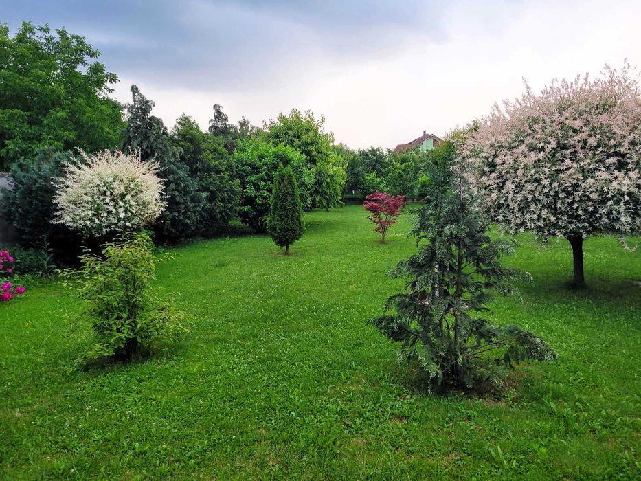 Casă spațioasă de vânzare în Chișineu-Criș – zonă liniștită