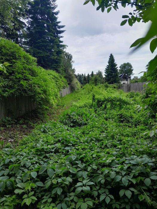 Teren de vanzare Snagov, Ilfov