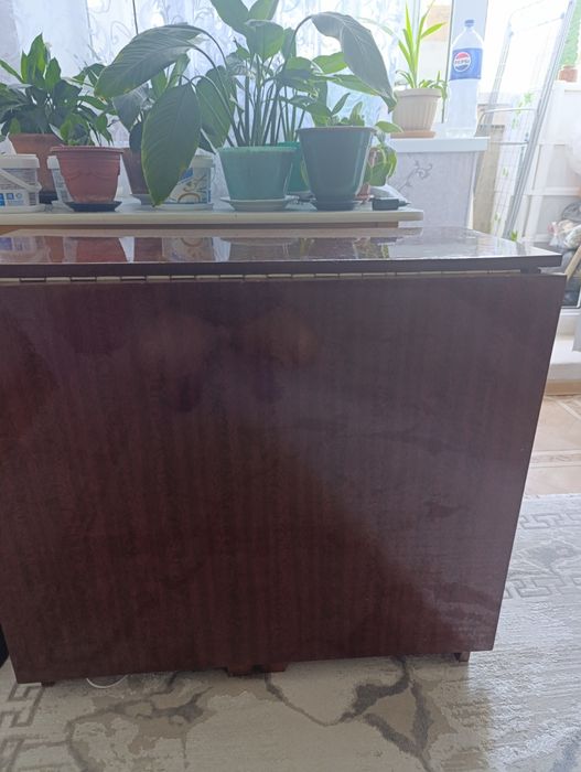 Продам стол книжку.