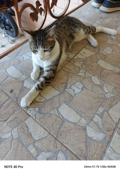 Hadiyaga yaxshi qoʻllaga