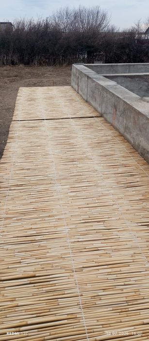 Камыс бау ши бар