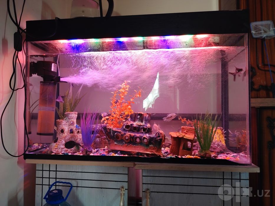 Akvarium sotiladi