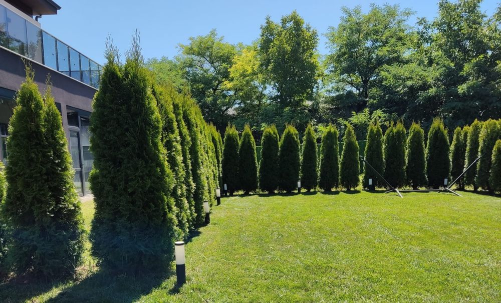 Професионално косене и поддръжка на дворове  Пловдив