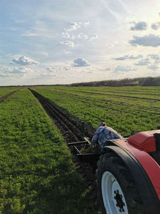 Plantator pomi si arbusti