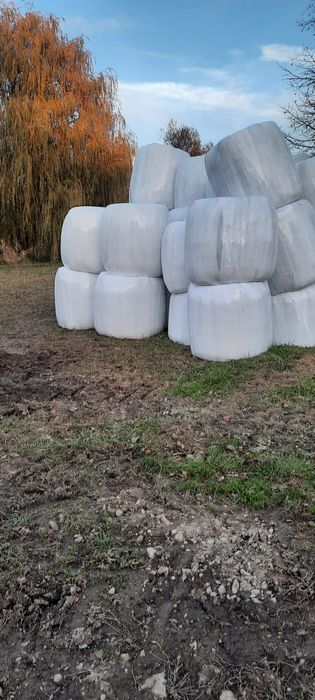 Vând baloți de lucernă uscată și infoliata și baloți de fan 2025