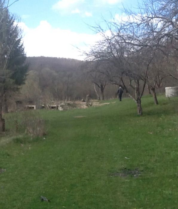 Teren intavilan de vanzare 7800 mp pe malul lacului, Moacsa