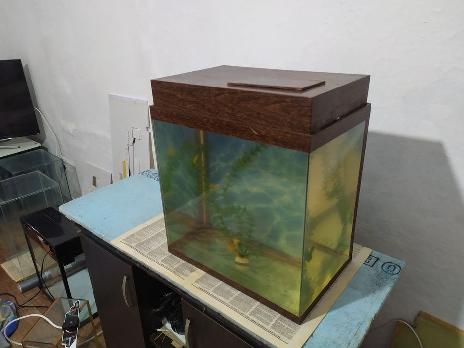 Аквариум 41л + бонусы и рыбки.