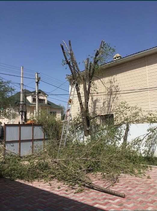 Обрезка деревьев.