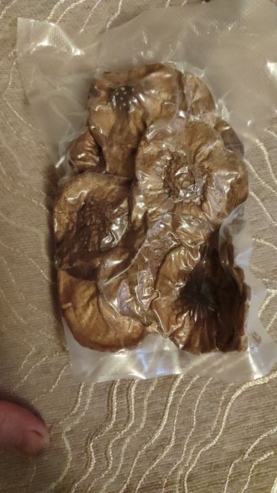 Гриб сушёный в капсулах