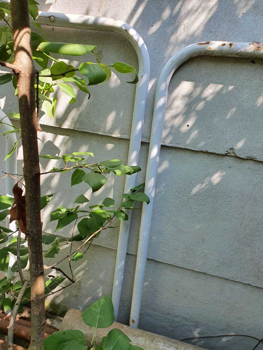 pompa de piscina , scara , tevi laterale