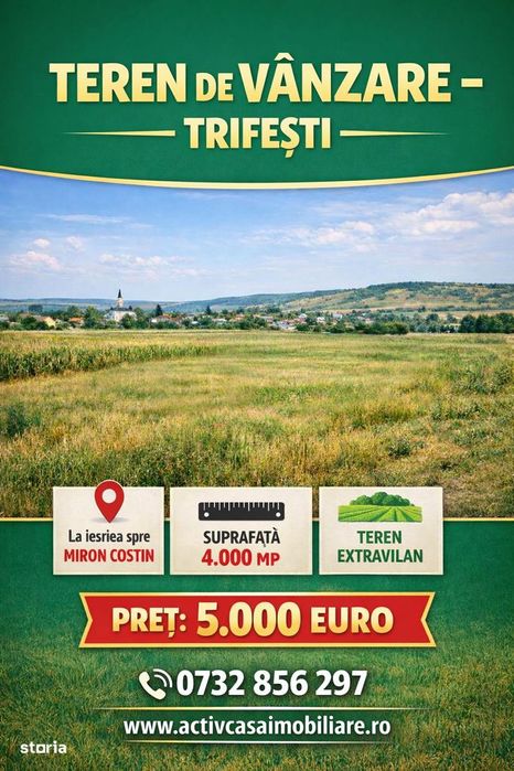 Teren Trifesti- Miron Costin