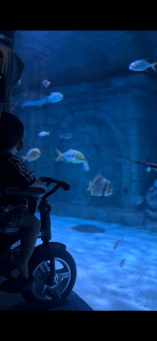 bolalar uchun velokolyaska sotiladi