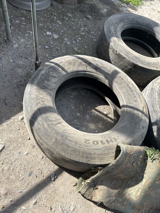 Продам болоны 10000