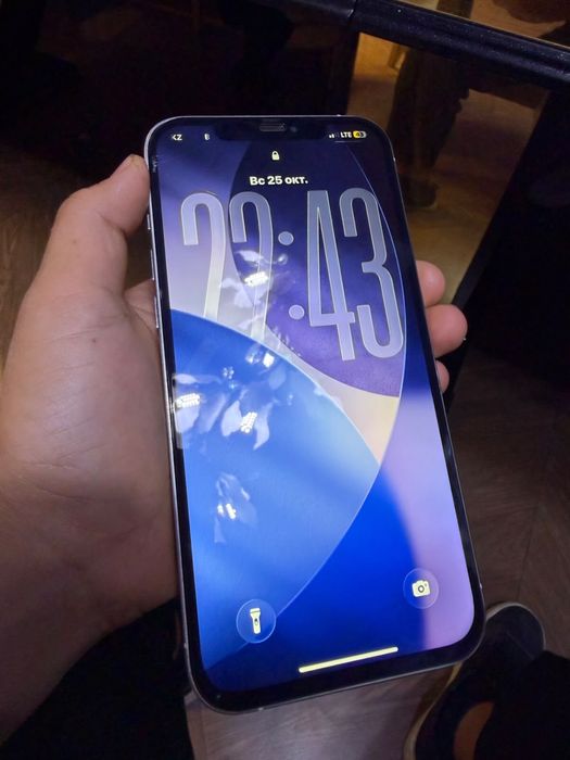 Iphone 12 Pro Max