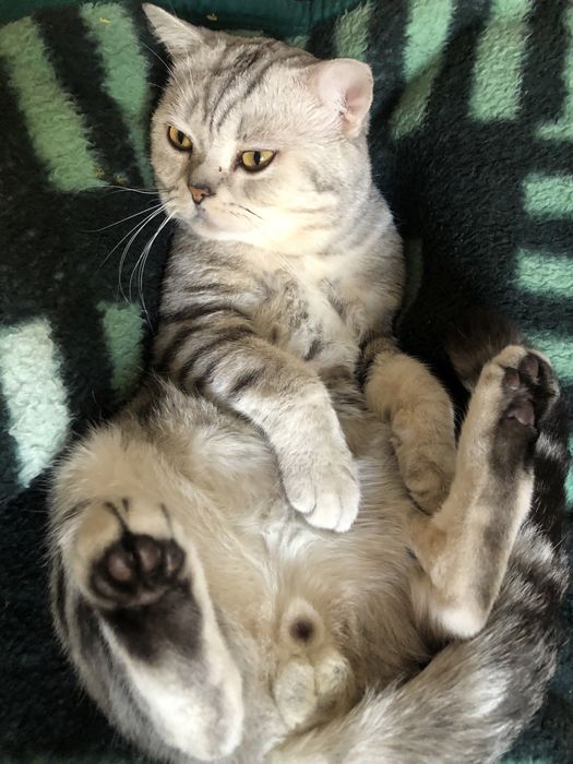 Срочно вязка вязка