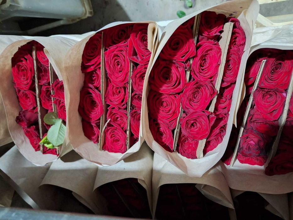 Розы по Акции на 8 марта