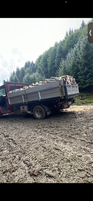 Vand lemn de foc esenta tare