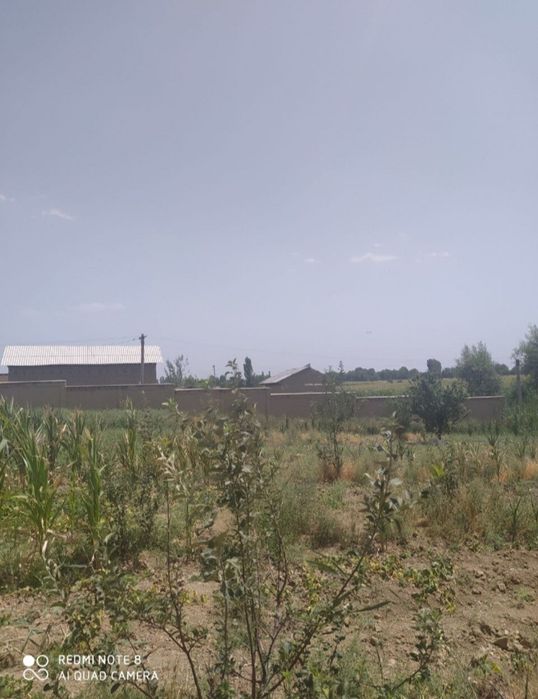 Nazarbek tekistilda yer sotiladi