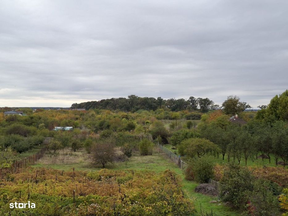 Teren Corbeanca Institutului 1064 mp / 2207 mp la 250 m de mall si DN1