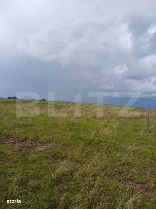 Teren extravilan 1249 mp in Copaceni! Oportunitate investitie!