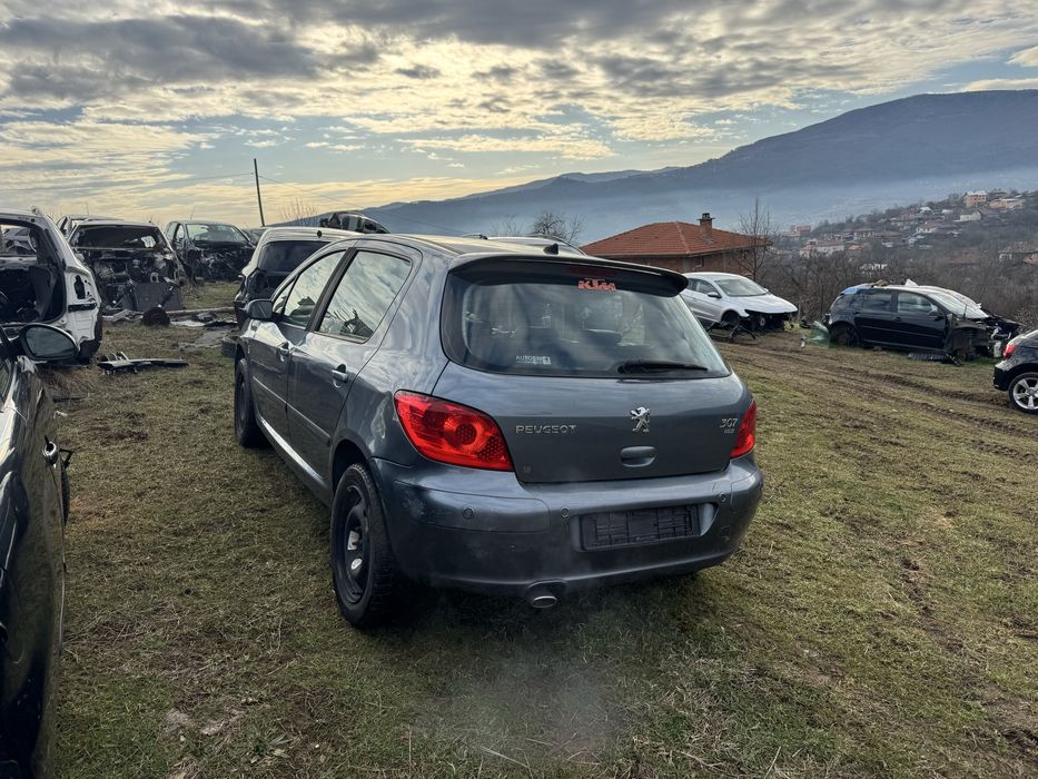 Peugeot 307 2.0HDI на части