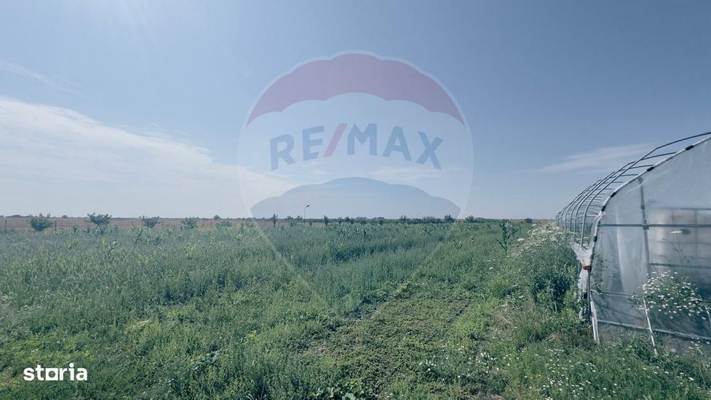 Teren agricol 16.750mp în Cârcea, imprejmuit, cultura capsuni, solarii