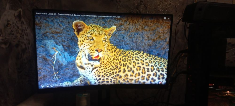 Монитор 144 гр AOC FHD