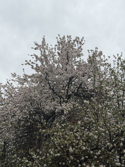 Продам дом каратальский