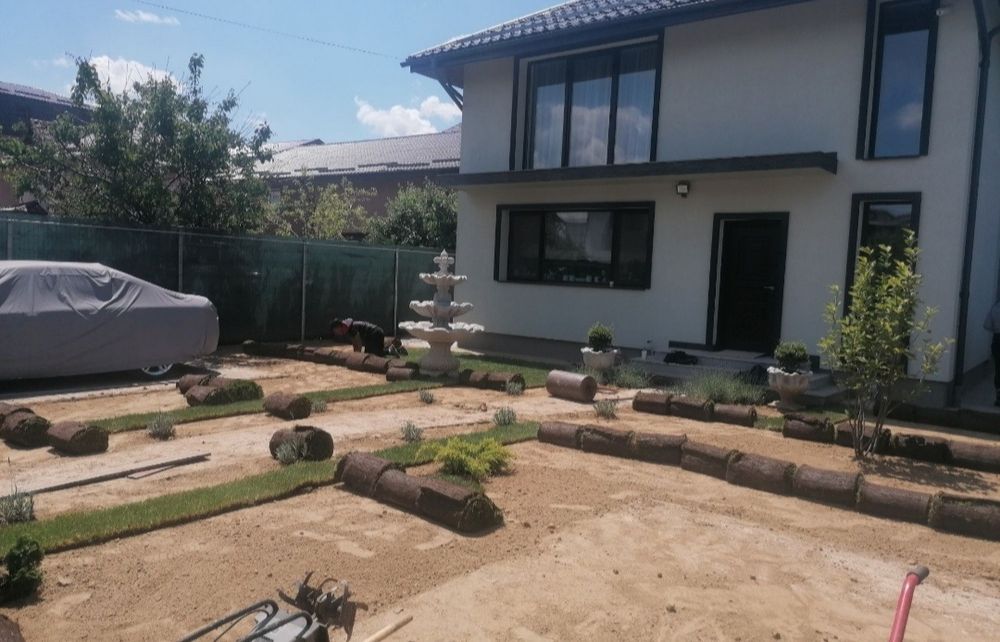 Producător gazon rulou 24 de lei m2 transport și montaj inclus preț