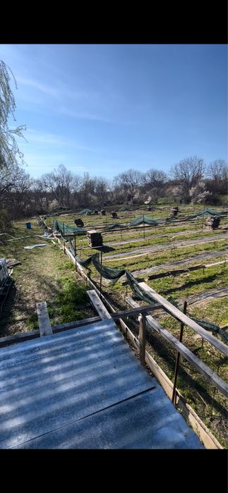 Продава се Парцел в Ловеч, Широк център - 3000 кв.м за 11 €/кв.м - Снимка #1