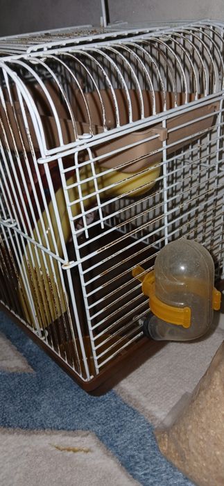 клетка для хомяка