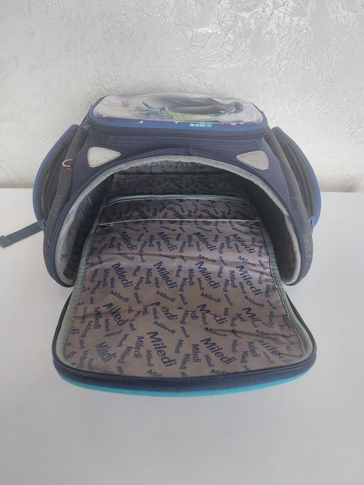 Сумки для школьников