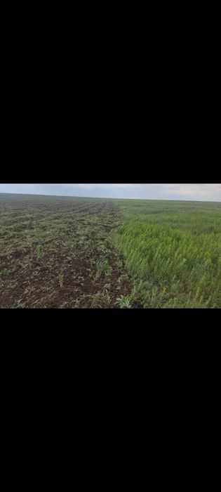 Услуги посевной трактор Yto