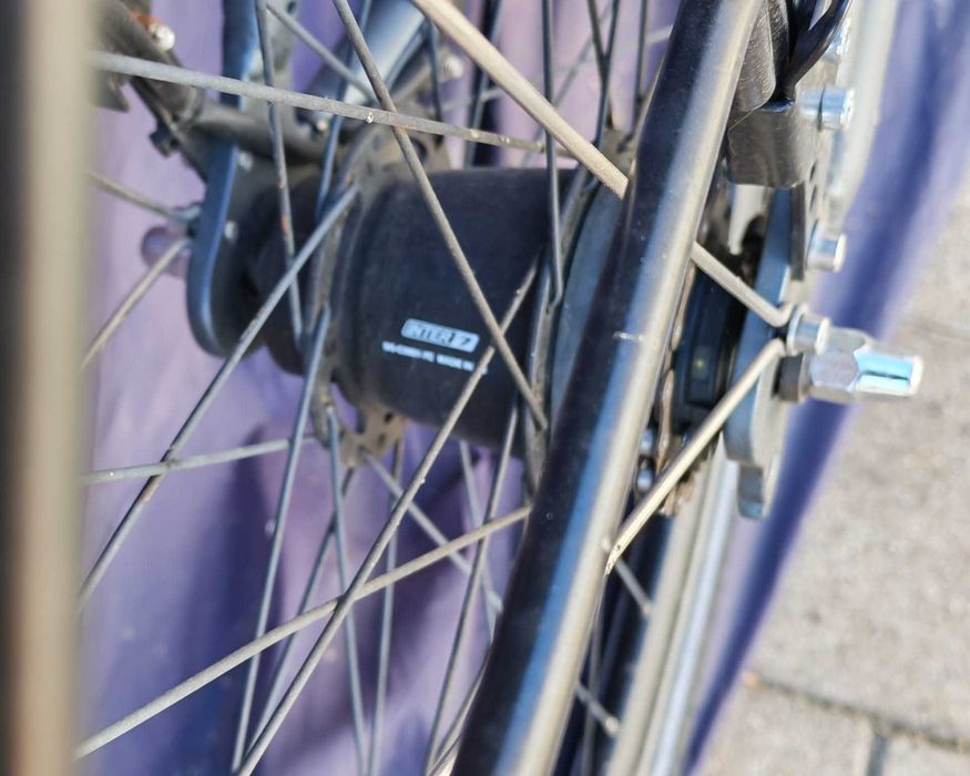 Paturi electrice, rafturi magazin, bicicleta, carucior