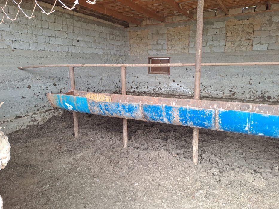 Фазенда в городе Жетысай