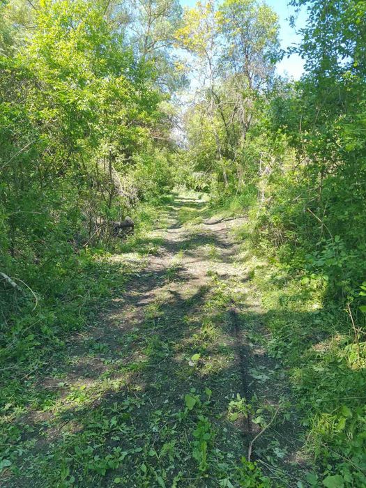 Продава се Парцел в с. Гоз, Област Перник - 648 кв.м за 10 €/кв.м - Снимка #7