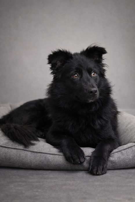 Очаровательный мальчик ищет любящих родителей!