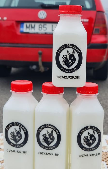 Lapte magarita disponibil