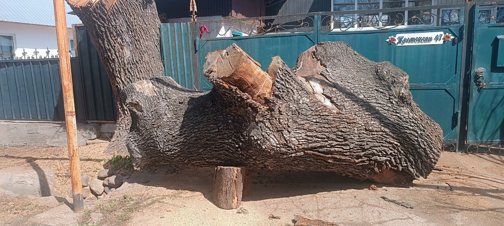 Дуб на дрова  три куба