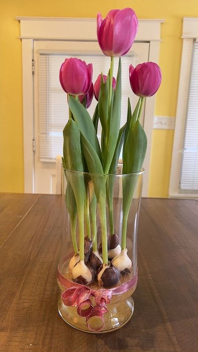 Тюльпаны с луковицами