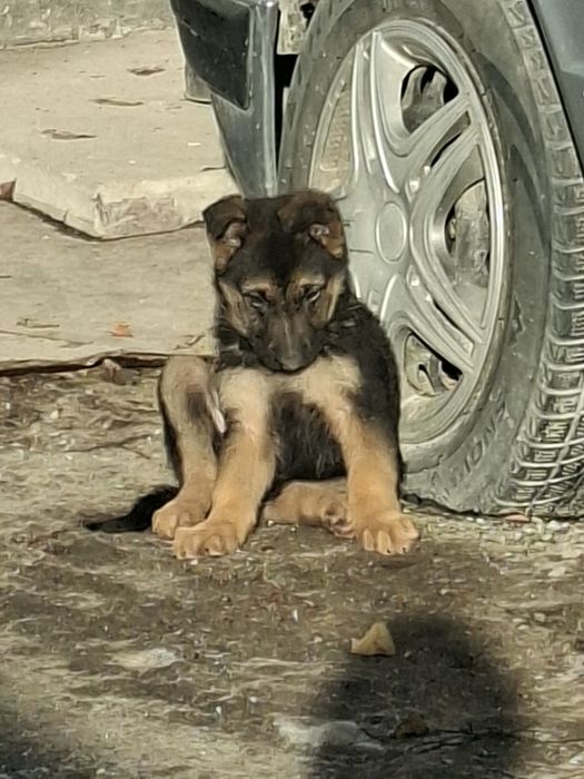 Отборные мальчик девочка.