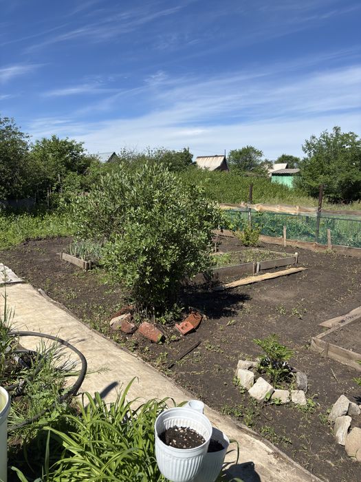Продам Дачу СО Элеваторщик