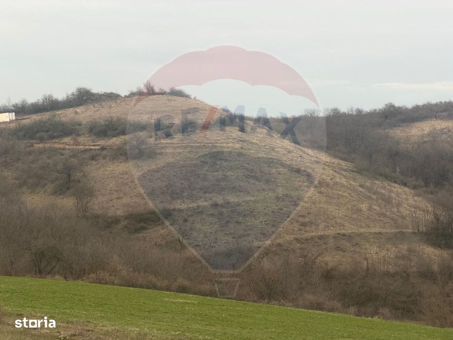 Teren agricol 18.800 mp în Crișeni, lângă Vurpăr