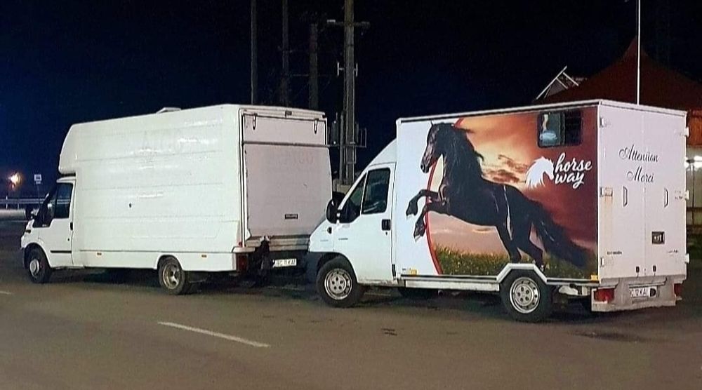 Transport animale vii